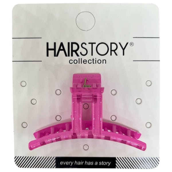 HAIRSTORY D556 Shimmer Basic Small T Hair Claw Clamp Clip
