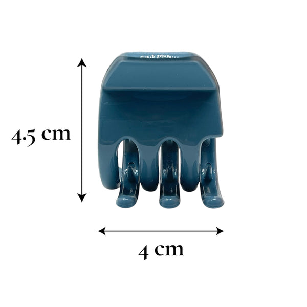 HAIRSTORY BUY 1 GET 1 Medium Hair Clamp random color