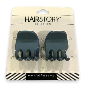 Hair Clamp #67 - Pastel